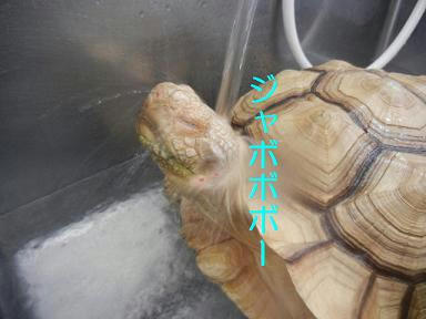 DSCN9498.JPG