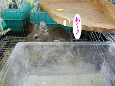 DSCN9429.JPG