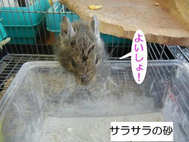 DSCN9430.JPG
