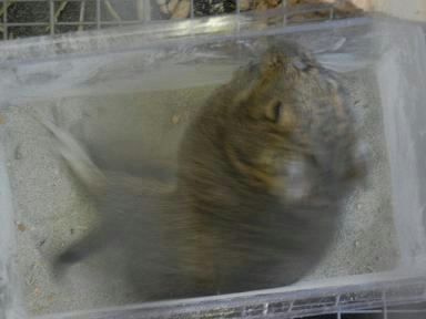 DSCN9442.JPG