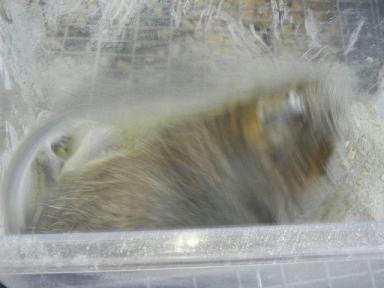 DSCN9447.JPG