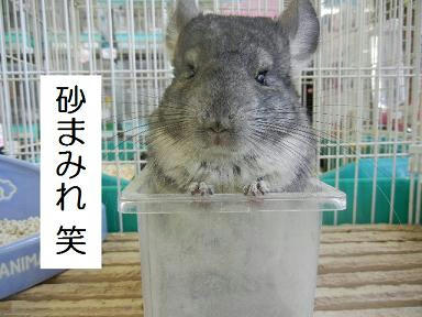 DSCN9492.JPG