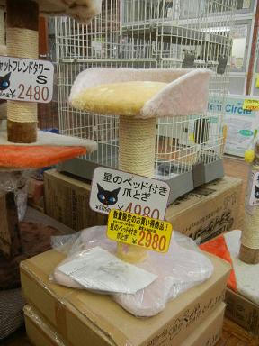 DSCN9525.JPG