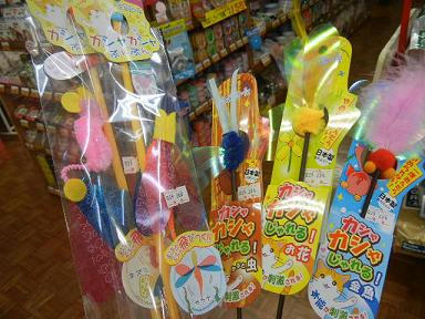 DSCN9527.JPG