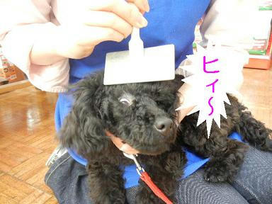 DSCN9659.JPG