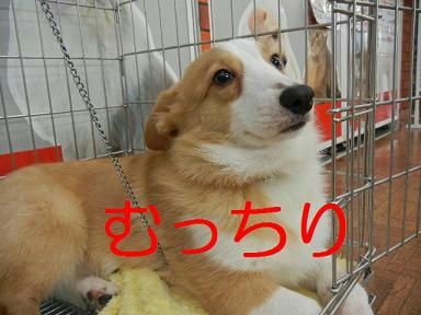 DSCN9675.JPG