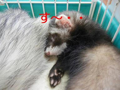 DSCN9906.JPG