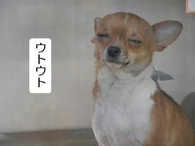 DSCN9213.JPG