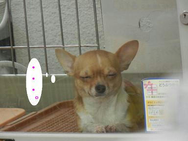 DSCN9400.JPG