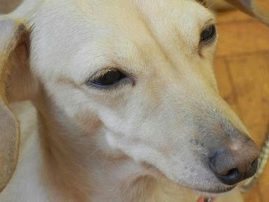 DSCN0147.JPG