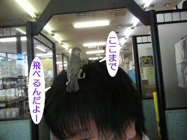 DSCN0195.JPG