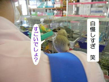 DSCN0196.JPG