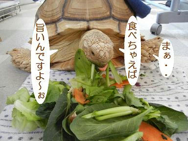 DSCN0270.JPG