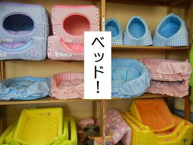 DSCN0287.JPG