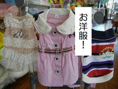 DSCN0290.JPG