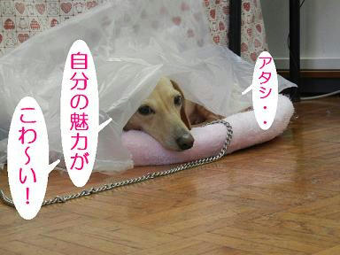 DSCN0165.JPG