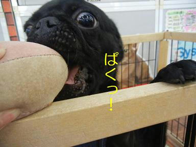 DSCN0363.JPG