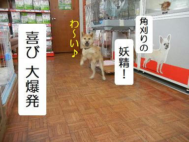 DSCN0443.JPG