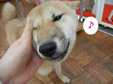 DSCN0481.JPG