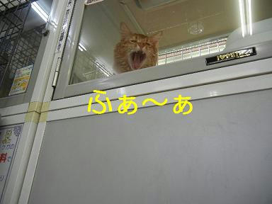 DSCN0455.JPG