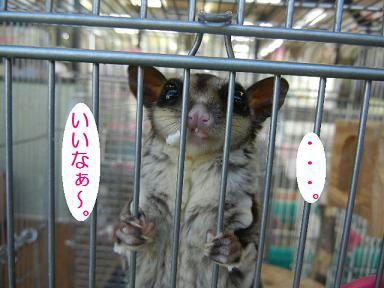 DSCN0578.JPG