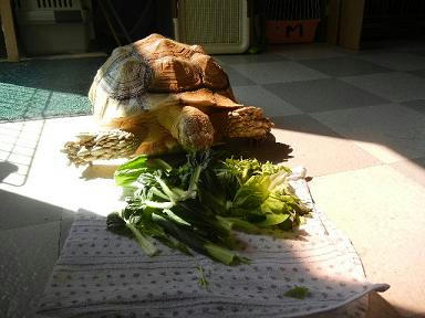 DSCN0633.JPG