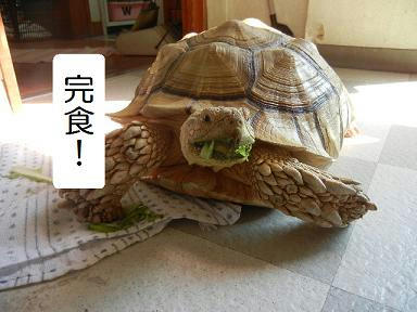 DSCN0638.JPG