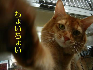 DSCN0602.JPG