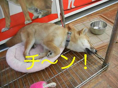 DSCN0650.JPG