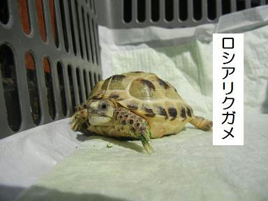 DSCN0782.JPG