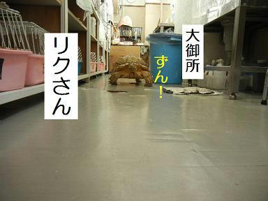 DSCN0797.JPG