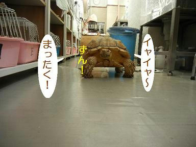 DSCN0800.JPG