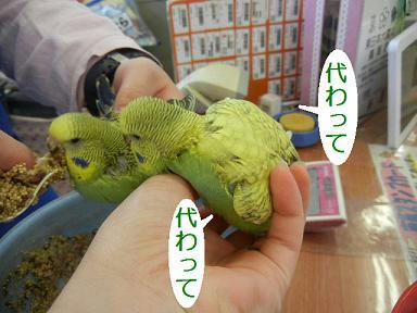 DSCN0819.JPG