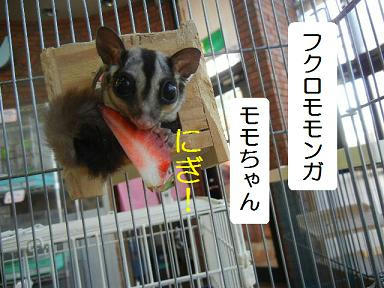 DSCN0846.JPG