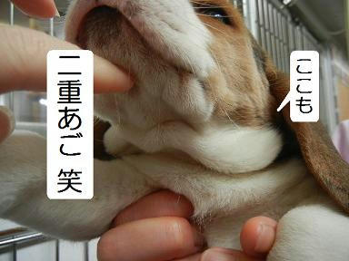 DSCN0971.JPG