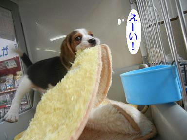 DSCN0947.JPG