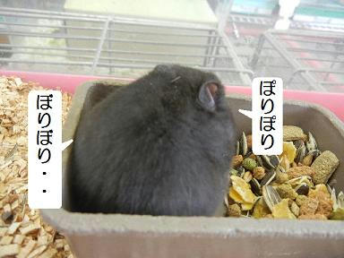 DSCN1069.JPG
