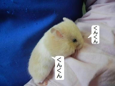 DSCN1092.JPG