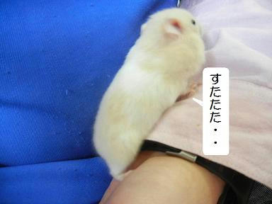 DSCN1091.JPG