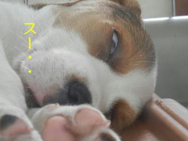 DSCN1135.JPG