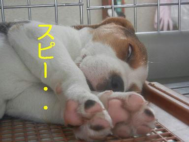 DSCN1132.JPG