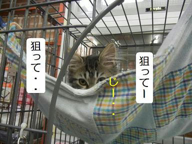 DSCN1186.JPG