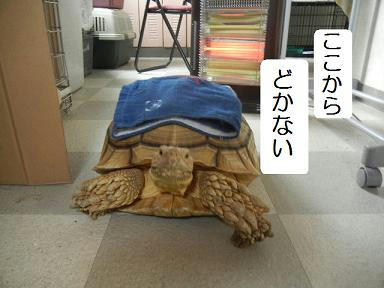830726d5.jpeg