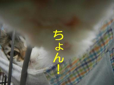 DSCN1208.JPG