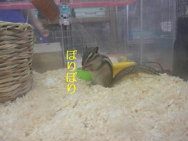 DSCN1236.JPG