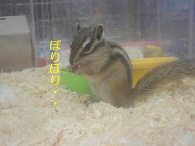 DSCN1235.JPG