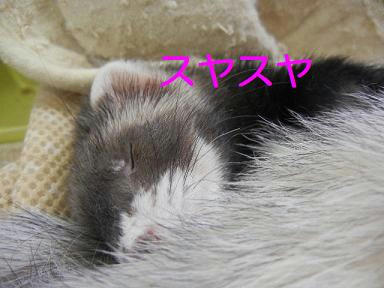 DSCN1287.JPG