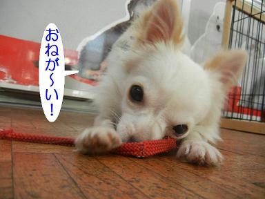 DSCN1614.JPG