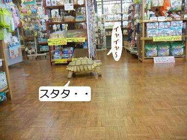 DSCN1649.JPG