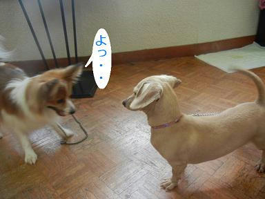 DSCN1770.JPG